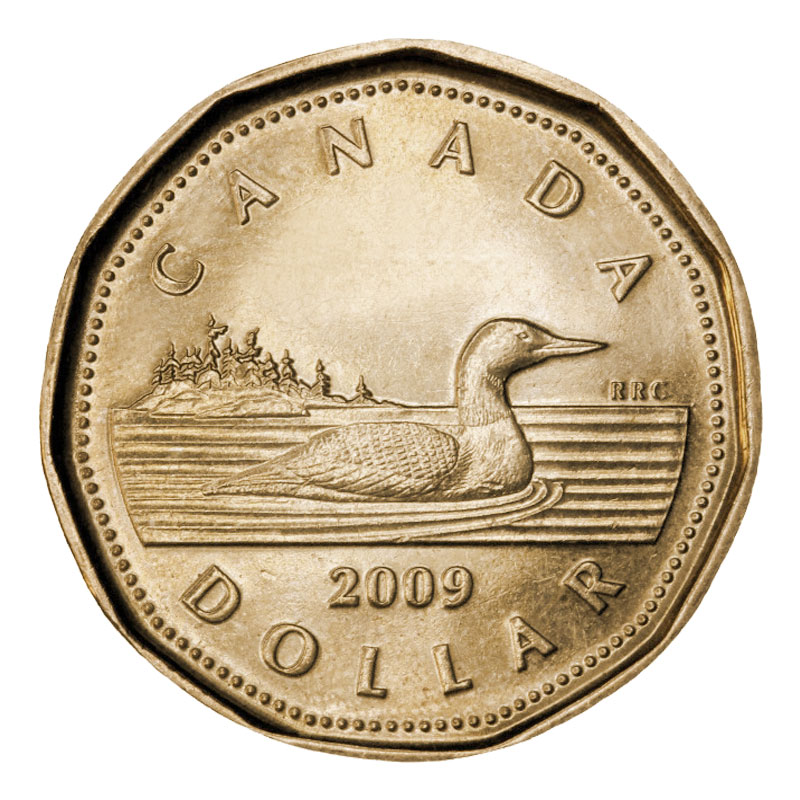 2009 Canada Loon 1 Dollar From Mint Roll 