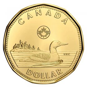 2014 Canada "Lucky Loon Olympic Loon" 1 Dollar Coin from a Mint Roll BU SB5944 