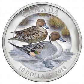 coin only 2013 CANADA Fine Silver Mallard Colourized $10 99.99% silver 