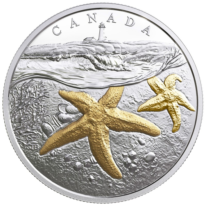 2017 $20 From Sea To Sea To Sea Arctic Beluga Whale 1 oz Pure Silver Gold-Plated