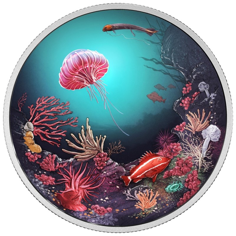 2016 Glow In Dark Illuminated Underwater Coral Reef $30 2OZ Pure Silver Coin 