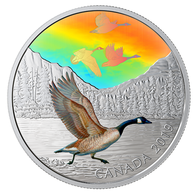 2019 Canadian $30 Majestic Birds in Motion: Canada Geese - 2 oz Fine ...