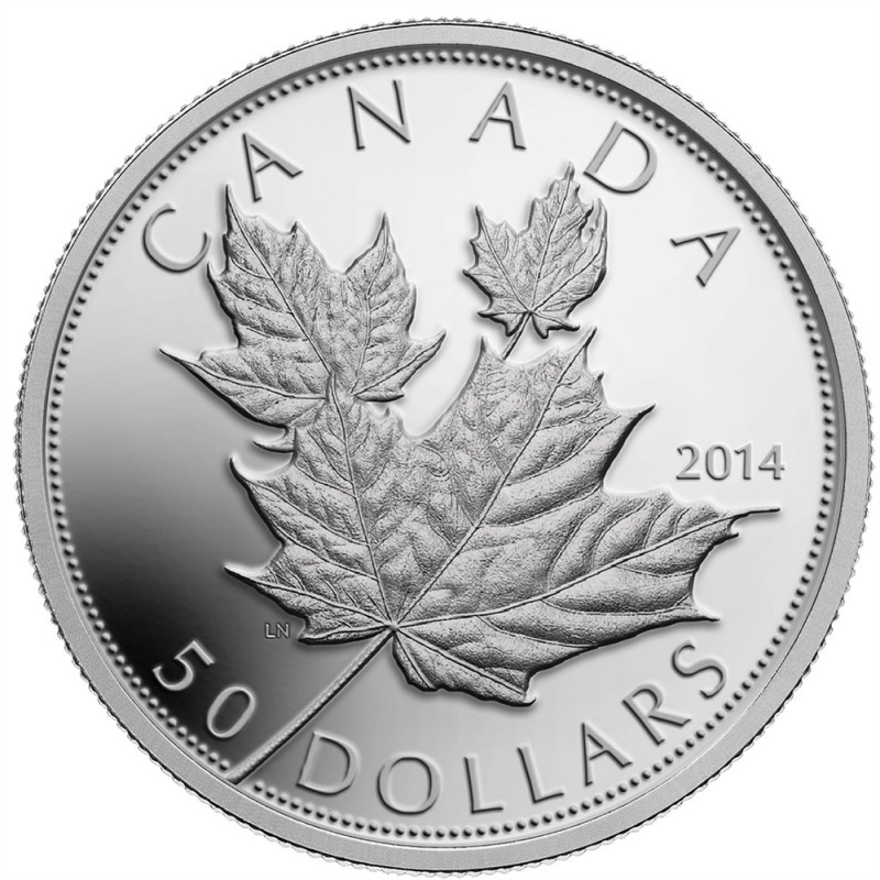 Монета серебро Canada 5 Dollars 2013 Elizabeth. Монета серебро Canada 5 Dollars 2013 Elizabeth 2. Канадские монеты 50. Монета 100 Dollars Canada 2014.