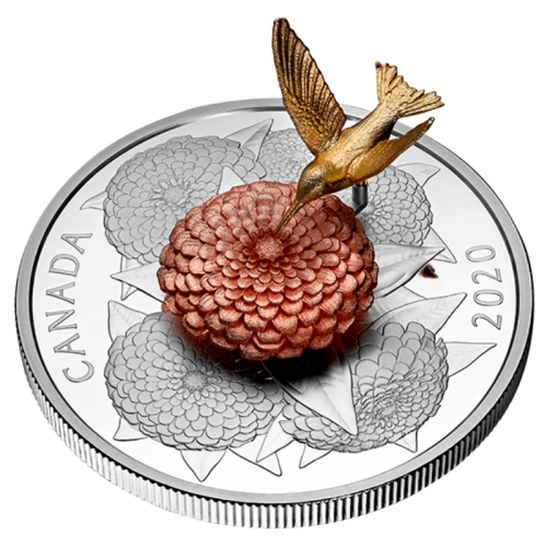 hummingbird coin price