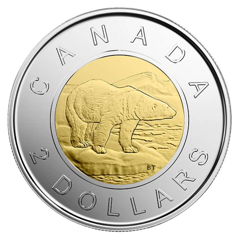 Канадские монеты. Канадские монетки. Канадские монеты современные. Монеты Канады 2023.