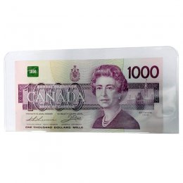 Medium Vinyl Bill Holder for Modern-sized Currency Notes (1-Count)