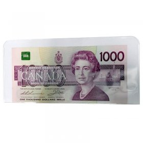 Medium Vinyl Bill Holder for Modern-sized Currency Notes (1-Count) Medium Vinyl Bill Holder for Modern-sized Currency Notes (1-Count)
