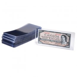 Medium Vinyl Bill Holder for Modern-sized Currency Notes (100-Count)