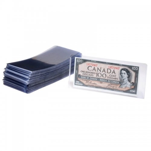 Medium Vinyl Bill Holder for Modern-sized Currency Notes (100-Count)