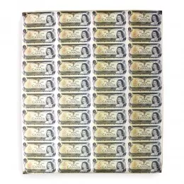 1973 Bank of Canada $1 Dollar Bill Multicoloured Series, Uncut Sheet (4 x 10 Format)-edges have some wrinkles