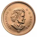 2007 MAGNETIC Canadian 1-Cent Maple Leaf Twig Penny Mint Wrap Coin Roll