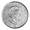 2008 (1918-) Canadian 25-Cent Poppy Armistice 90th Anniv Coloured Quarter Coin (Brilliant Uncirculated)