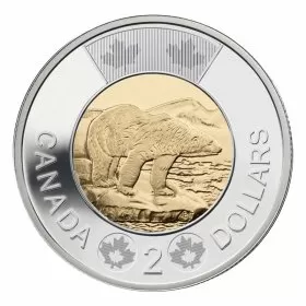 2013 Canadian $2 Polar Bear Toonie Coin (Brilliant Uncirculated)