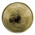 2016 Canadian $1 Common Loon Security Dollar Coin (Brilliant Uncirculated)