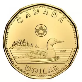 2020 Canadian $1 Common Loon Dollar Coin (Brilliant Uncirculated)