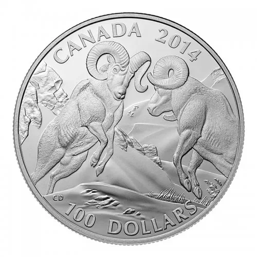 2014 Canadian $100 for $100 Rocky Mountain Bighorn Sheep Fine Silver Coin - Lightly Turnished