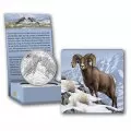 2014 Canadian $100 for $100 Rocky Mountain Bighorn Sheep Fine Silver Coin - Lightly Turnished