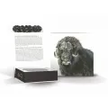 2015 Canadian $100 for $100 Muskox: Ancient Dweller of the High Arctic Fine Silver Coin