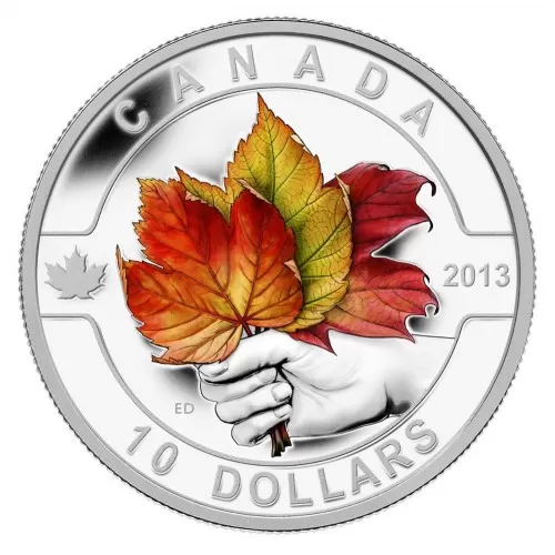 2013 Canadian $10 O Canada Series: Maple Leaf - 1/2 oz Fine Silver Coin - Tarnishing