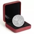 2014 Canadian $10 Silver Maple Leaves - 1/2 oz Fine Silver Coin