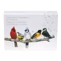 2015 Canadian $10 Colourful Songbirds of Canada 1/2 oz Fine Silver 5-Coin Set with Musical Display Box-no music from box