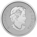 2016 Canadian $10 Canadian Maple Leaves - 1/2 oz Fine Silver Coin