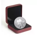 2016 Canadian $10 Canadian Maple Leaves - 1/2 oz Fine Silver Coin