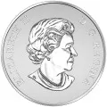 2016 Canadian $10 Welcome to the World, Baby Feet 1/2 oz Fine Silver Coin - No COA