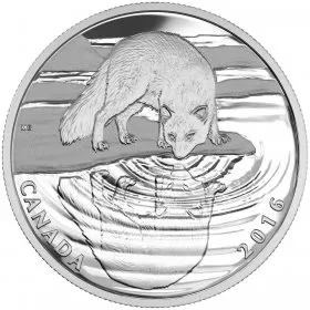 2016 Canadian $10 Reflections of Wildlife: Arctic Fox - 1/2 oz Fine Silver Coin - Tarnished