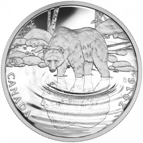 2016 Canadian $10 Reflections of Wildlife: Grizzly Bear - 1/2 oz Fine Silver Coin