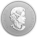 2017 Canadian $10 Welcome to the World, Baby Feet 1/2 oz Fine Silver Coin