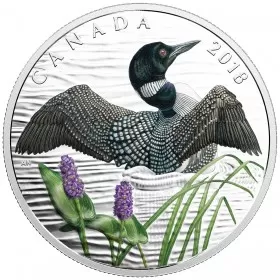 2018 Canadian $10 The Common Loon: Beauty and Grace - Fine Silver Coin-slightly scuffed & toned