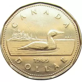 1989 Canadian $1 Common Loon Dollar Coin  (Uncirculated)