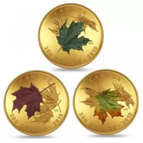 2015 Canadian $200 Alluring Maple Leaves of Fall - 1 oz Pure Gold 3-Coin Set