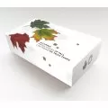 2015 Canadian $200 Alluring Maple Leaves of Fall - 1 oz Pure Gold 3-Coin Set