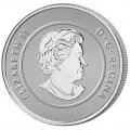 2011 Canadian $20 for $20 Maple Leaf Fine Silver Commemorative Coin