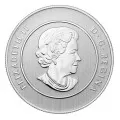 2011 Canadian $20 for $20 Canoe Fine Silver Commemorative Coin-coin in capsule only