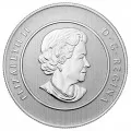 2012 Canadian $20 for $20 Magical Reindeer Fine Silver Coin