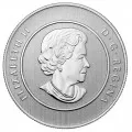 2013 Canadian $20 for $20 Hockey Fine Silver Coin