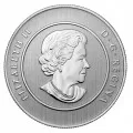 2013 Canadian $20 for $20 Iceberg & Whale Fine Silver Coin