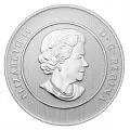 2014 Canadian $20 for $20 Summertime Fine Silver Coin - Only Coin In Capsule