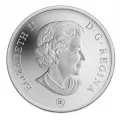 2007 Canadian $20 Holiday Sleigh Ride 1 oz Fine Silver Coin-coin is toned