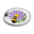 2012 Canadian $20 Aster with Venetian Glass Bumblebee 1 oz Fine Silver Coin