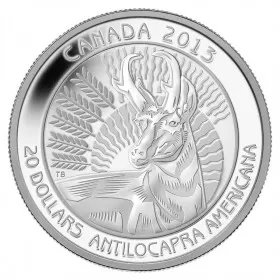 2013 Canadian $20 Pronghorn - Fine Silver Coin - Lightly Toned