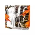 2014 Canadian $20 Autumn Falls 1 oz Fine Silver Coloured Coin