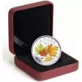 2014 Canadian $20 Majestic Maple Leaves With Colour - 1 oz Fine Silver Coloured Coin - Coin in Capsule - COA Only