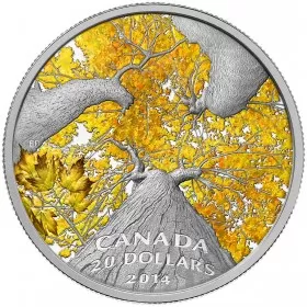 2014 Canadian $20 Maple Canopy: Autumn Allure 1 oz Fine Silver Coloured Coin