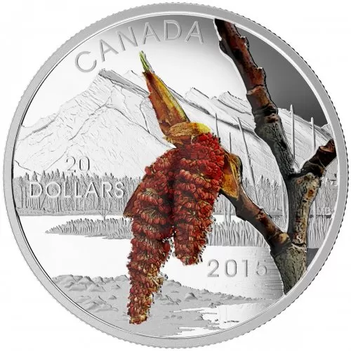 2015 Canadian $20 Forests of Canada: Boreal Balsam Poplar - 1 oz Fine Silver Coin