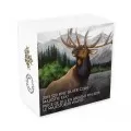 2015 Canadian $20 Majestic Elk - 1 oz Fine Silver Coloured Coin
