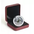 2015 Canadian $20 Weather Phenomenon: Summer Storm - 1 oz Fine Silver Coin (Glow-in-Black-Light) - Coin In Capule - COA Only